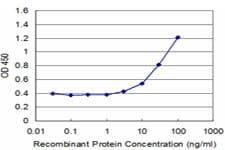 Monoclonal Mouse anti-Human ZNF79 Antibody (clone 3D12, WB)