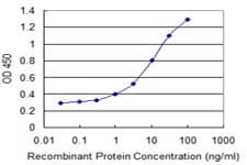 OMP Antibody (clone 2B7)