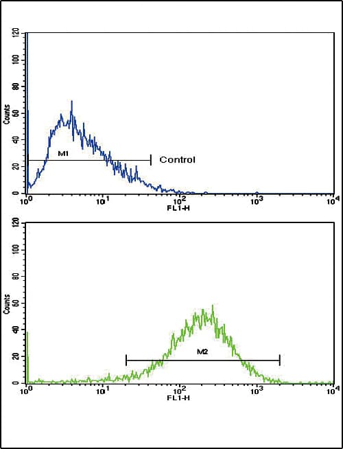 IHC-plus™ EHHADH / Enoyl-Coa Hydratase Antibody (aa662-690)