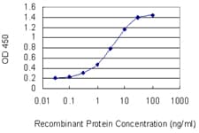 STAT2 Antibody (clone 5G7)