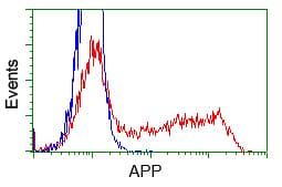 APP / Beta Amyloid Precursor Antibody (clone OTI6B7)