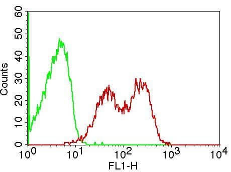 TLR9 Antibody (Azide-free)