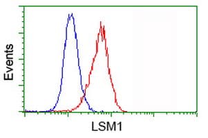 Monoclonal Mouse anti-Human LSM1 Antibody (clone OTI5C6, IHC, IF, WB)