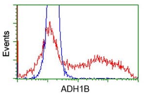 ADH2 / ADH1B Antibody (clone OTI3F2)