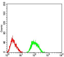 GRIA2 / GLUR2 Antibody (clone 7A7D12)