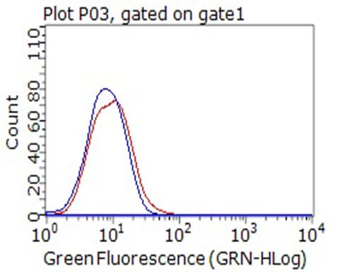 Monoclonal Mouse anti-Human CD80 Antibody (clone OTI8E9, aa35-242+Mouse, WB)