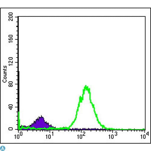 BID Antibody