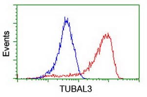 TUBAL3 Antibody (clone OTI1C2)