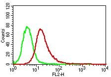 MYD88 Antibody