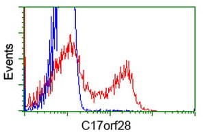 HID1 / C17orf28 Antibody (clone OTI4F6)
