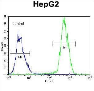 PRRT1 Antibody (aa240-269)