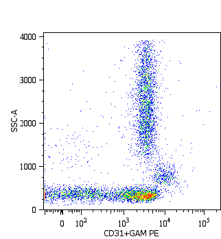 PECAM-1 / CD31 Antibody (clone MEM-05)