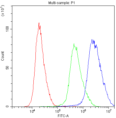 PTP4A2 / PRL-2 Antibody (aa40-69)
