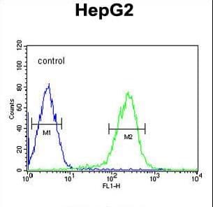 SMAD6 Antibody (aa358-386)
