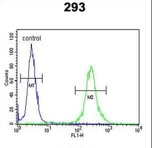 MRAP Antibody (aa7-36)