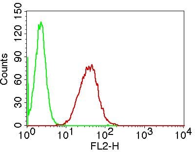 LGALS1 / Galectin 1 Antibody