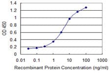 IHC-plus™ Monoclonal Mouse anti-Human E4F1 / E4F Antibody (clone 4B10, IHC, IF, WB)