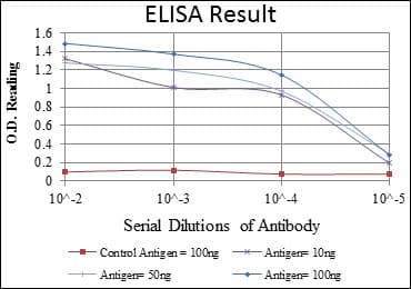 Monoclonal Mouse anti-Human LHX2 Antibody (clone 6G2, IF, WB)