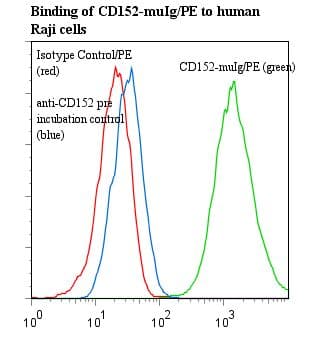 CTLA4 / CD152 Antibody (clone ANC152.2/8H5)