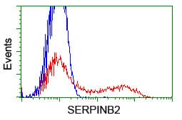 IHC-plus™ SERPINB2 / PAI-2 Antibody (clone 1G3)