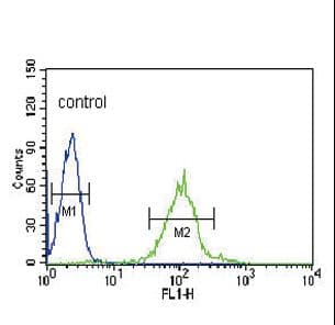 ICSBP / IRF8 Antibody (aa384-409)