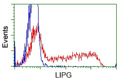 LIPG / Endothelial Lipase Antibody (clone OTI2E12, Carrier-free)