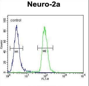 CIRH1A Antibody (aa116-143)