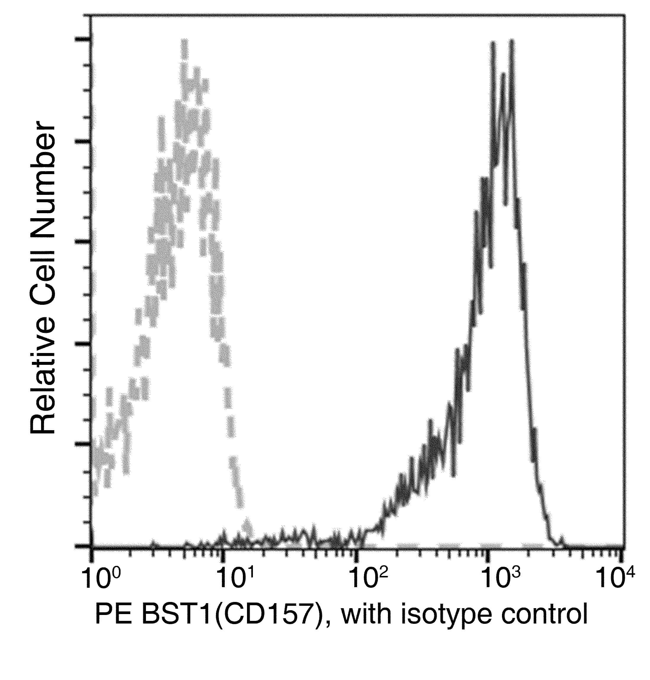 CD157 Antibody (clone 19, PE)