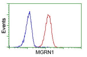 MGRN1 Antibody (clone OTI3C3)