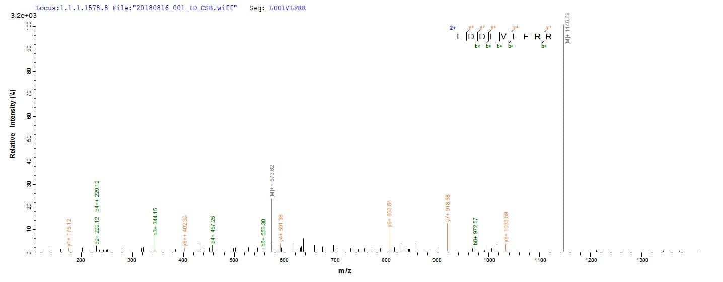 Trypanosoma cruzi HSP100 Protein (Recombinant 10His, N-terminus + Myc, C-terminus)