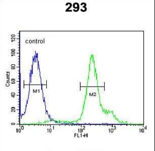 RBM24 Antibody (aa4-32)