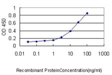 Monoclonal Mouse anti-Human PSME2 Antibody (clone 1G4, IHC, WB)