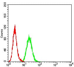 BCL2L10 / Diva Antibody (clone 8A11G12)