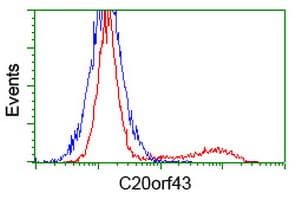 RTFDC1 Antibody (clone OTI3A5)