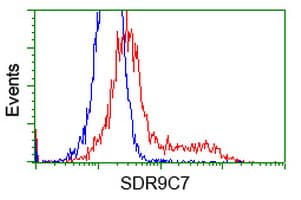 SDR9C7 Antibody (clone OTI7F9)