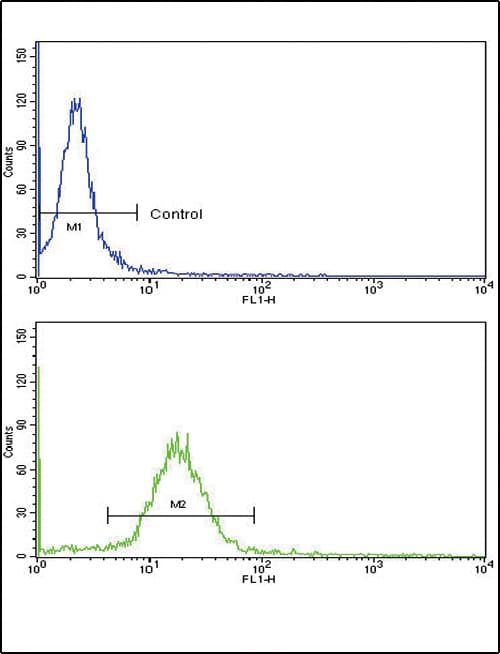 WNT10B Antibody (aa193-222)