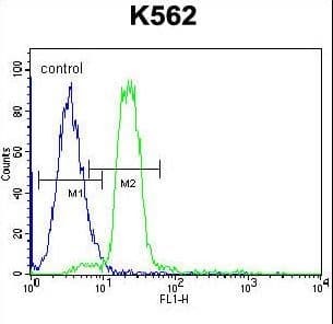 IHC-plus™ HBA1+2 / Hemoglobin Alpha Antibody (aa100-128)