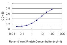 RAB21 Antibody (clone 1F6)