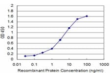 API5 Antibody (clone 1C2)