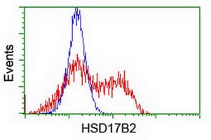 HSD17B2 Antibody (clone OTI4F10)