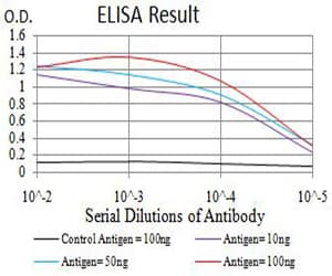 PCDH9 Antibody (clone 7G3A2)