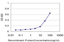 MACS / RIN2 Antibody (clone 1E7)