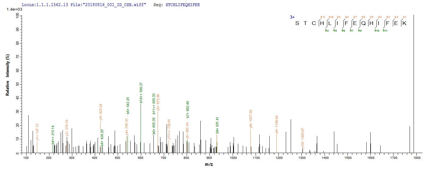 Bovine FDX1 / ADX Protein (Recombinant 10His, N-terminus)
