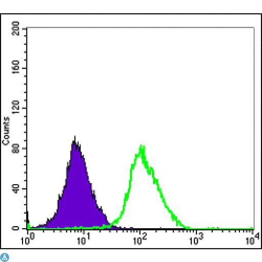 MAPK6 / ERK3 Antibody