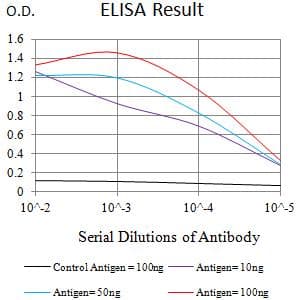 ADAM8 Antibody (clone 2C1F3)
