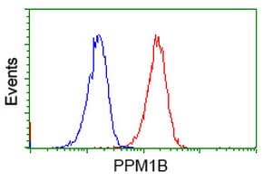 PPM1B Antibody (clone OTI3E10, Carrier-free)