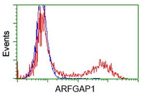 ARFGAP1 Antibody (clone OTI1H4)
