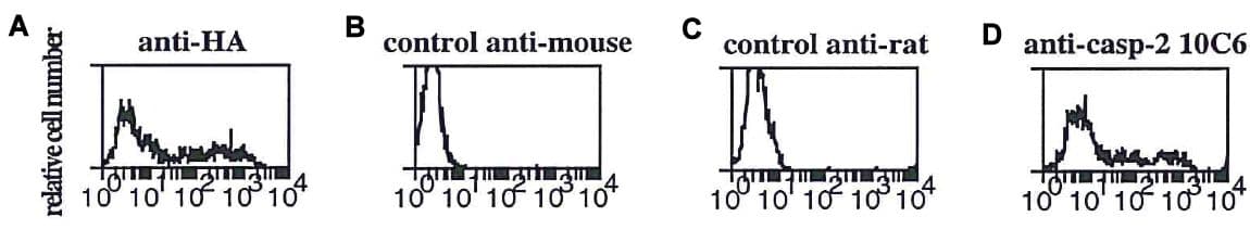 CASP2 / Caspase 2 Antibody (clone 10C6)