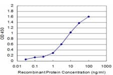BRD3 Antibody (clone 6F3)