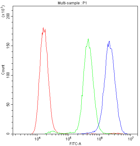 SNK / PLK2 Antibody (aa666-685)